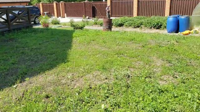 Беккер и другие на второй год.Обзор участка смотреть онлайн