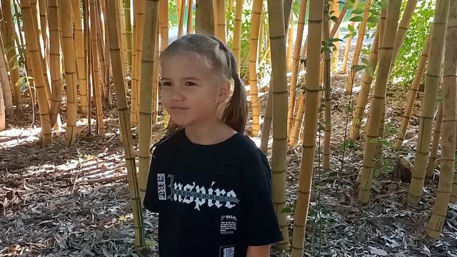 ВОТ ЭТО ДА!!! Приснился cartoon cat , видела в лесу Пикачу смотреть онлайн