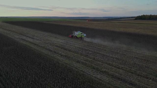 Уборка подсолнечника Липецкая область смотреть онлайн