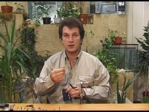 Работа с даббингом