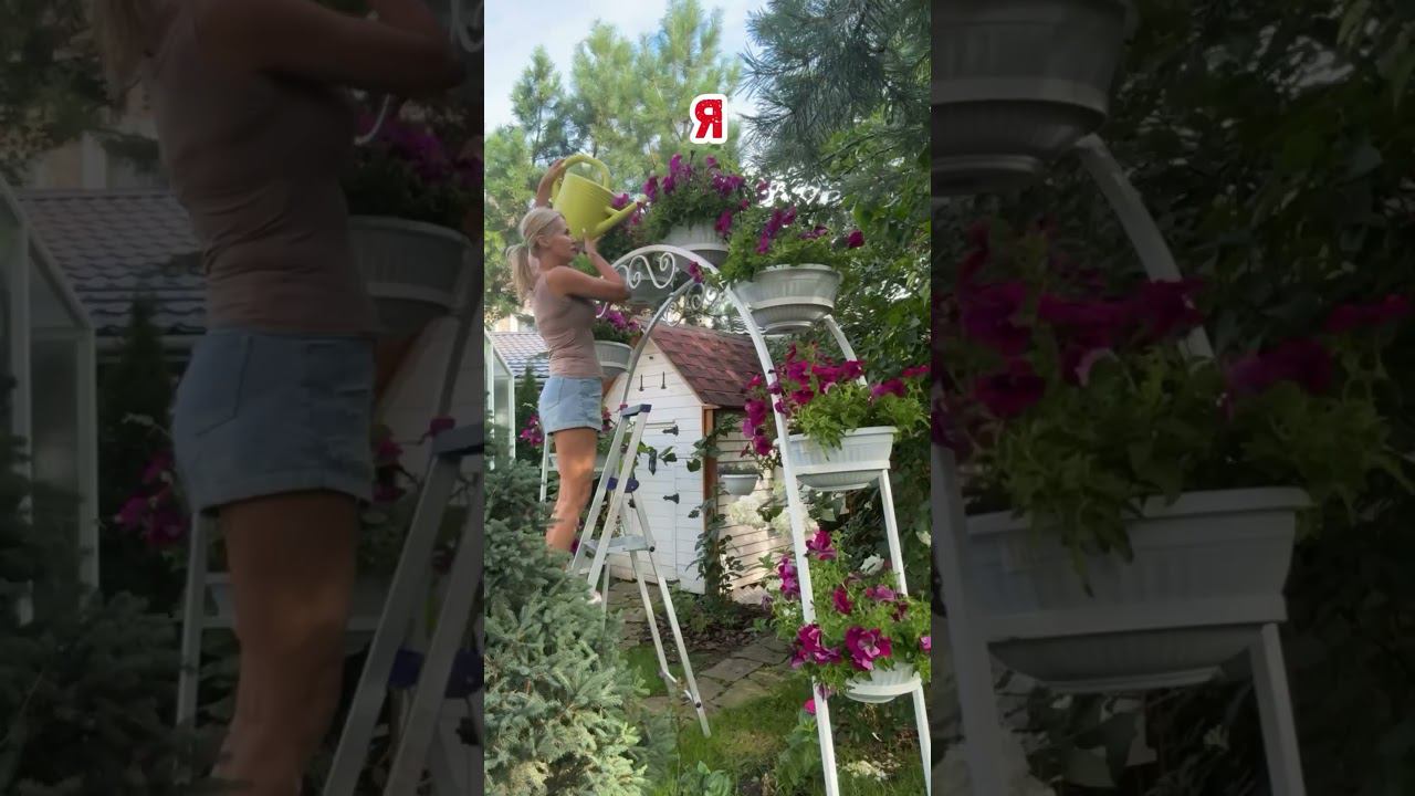 31 июля 2024 г. смотреть онлайн