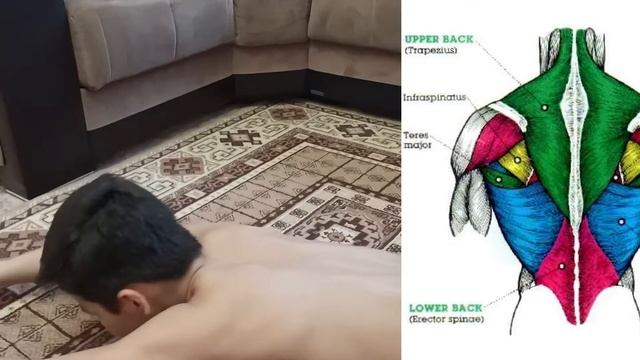 ТРЕНИРОВКА ДОМА ДЛЯ ДЕТЕЙ (19 лучших упражнений) смотреть онлайн