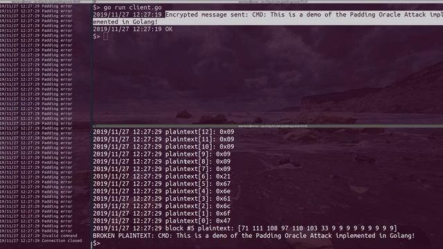 AES-256-CBC padding oracle attack demo. смотреть онлайн