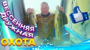 ПОДВОДНАЯ ОХОТА НА САЗАНА ВЕСНА 2023г Часть-2