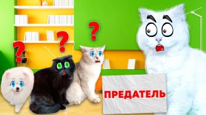 Кто из нас ПРЕДАТЕЛЬ? Игра в РЕАЛЬНОЙ жизни .mp4