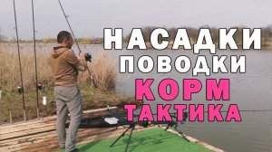 Карпфишинг. Соревнования. Всё о ловле от старта до финиша. Секреты и советы, как поймать сазана