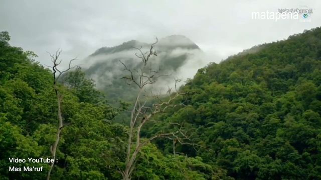 History of Java Indonesia | Exclusive! смотреть онлайн