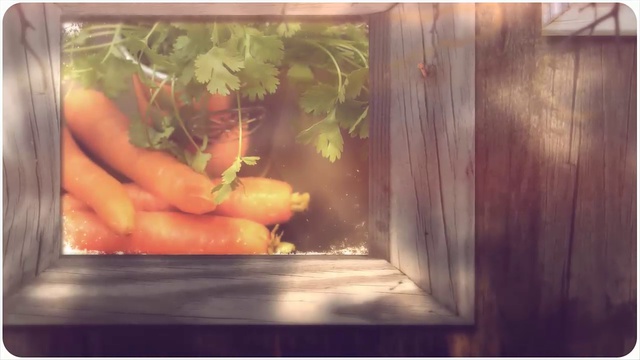 Красота и здоровье Забытый секрет красоты и здоровья смотреть онлайн