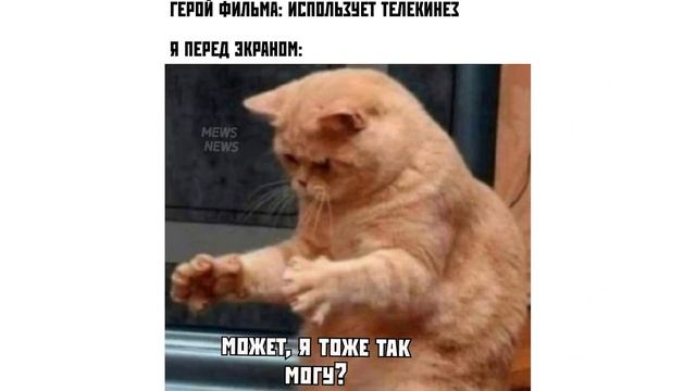 ПРОИЗОШЛО 3D))) Приколы с котами | Мемозг 841 смотреть онлайн
