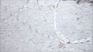 Монтаж колючей проволоки Егоза