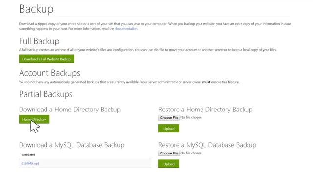 Website Backup Using cPanel смотреть онлайн