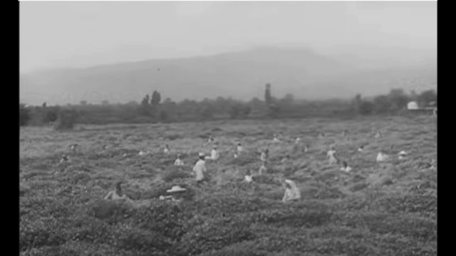 “Ulduz” Filmindən Musiqi – Kəndimiz (bəs. Süleyman Ələsgərov)