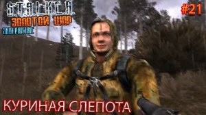 КУРИНАЯ СЛЕПОТА | S.T.A.L.K.E.R. ЗОЛОТОЙ ШАР ЗАВЕРШЕНИЕ | Серия 21