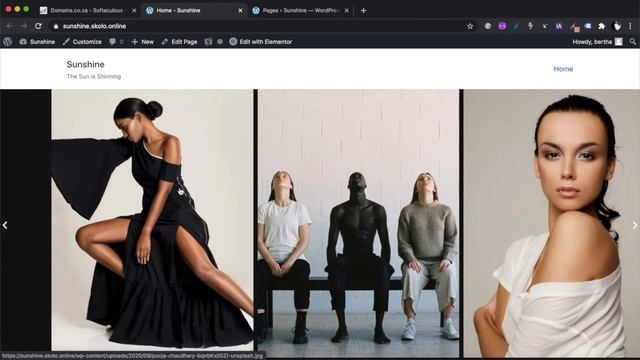 Top 5 Fastest?♀️?♀️FREE Wordpress Themes 2020 - Live Test смотреть онлайн