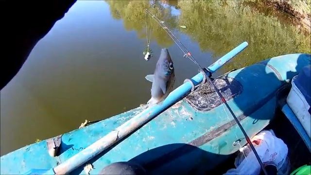 Рыбалка на Дону, с лодки, чехонь на поплавок, 13.09.2020 смотреть онлайн