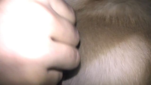 Самодельный клещедер! Как достать клеща у собаки или человека ? смотреть онлайн