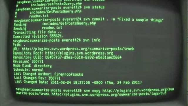 How to release a new version of your WordPress plugin смотреть онлайн