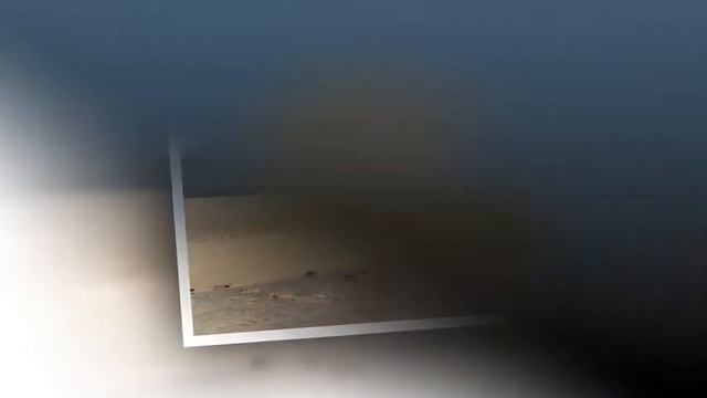 Things To Do In Grand Bahama | Grand Bahama Tours смотреть онлайн