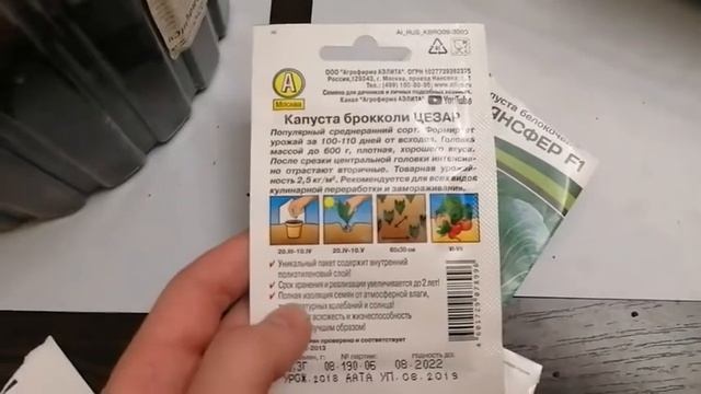 Посадка семян капусты смотреть онлайн