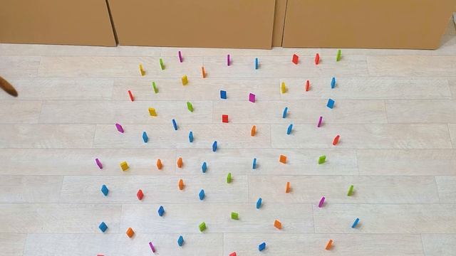 Obstacle challenge (My Cats : Nara vs Lizzy) смотреть онлайн