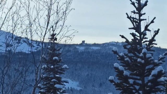 Поход на гору ,,Таятский белок". Необычное приключение смотреть онлайн