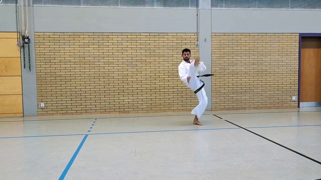 Shaolin Kempo Karate 9. Kyu weiß-gelb-Gurt смотреть онлайн