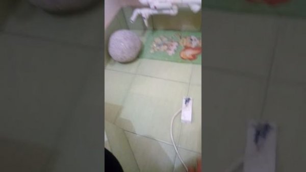 KOREASTAR BURAN срабатывает автоматика