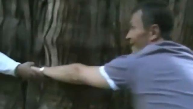 Вековой лес штата Вашингтон смотреть онлайн