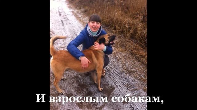 Они рядом с нами! Новосокольники смотреть онлайн