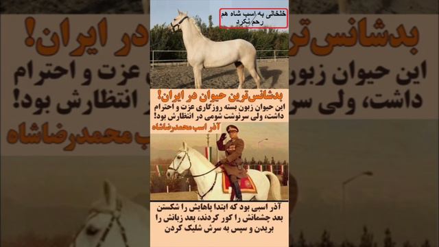 صادق خلخالی به اسب شاه هم رحم نکرد смотреть онлайн