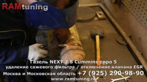 Неудачная попытка удаления сажевого фильтра на Газель Next Cummins euro5