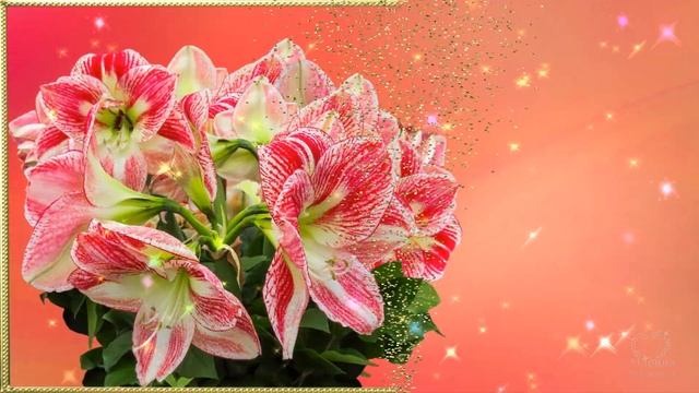 Красивой Женщине Красивые Цветы!??? смотреть онлайн