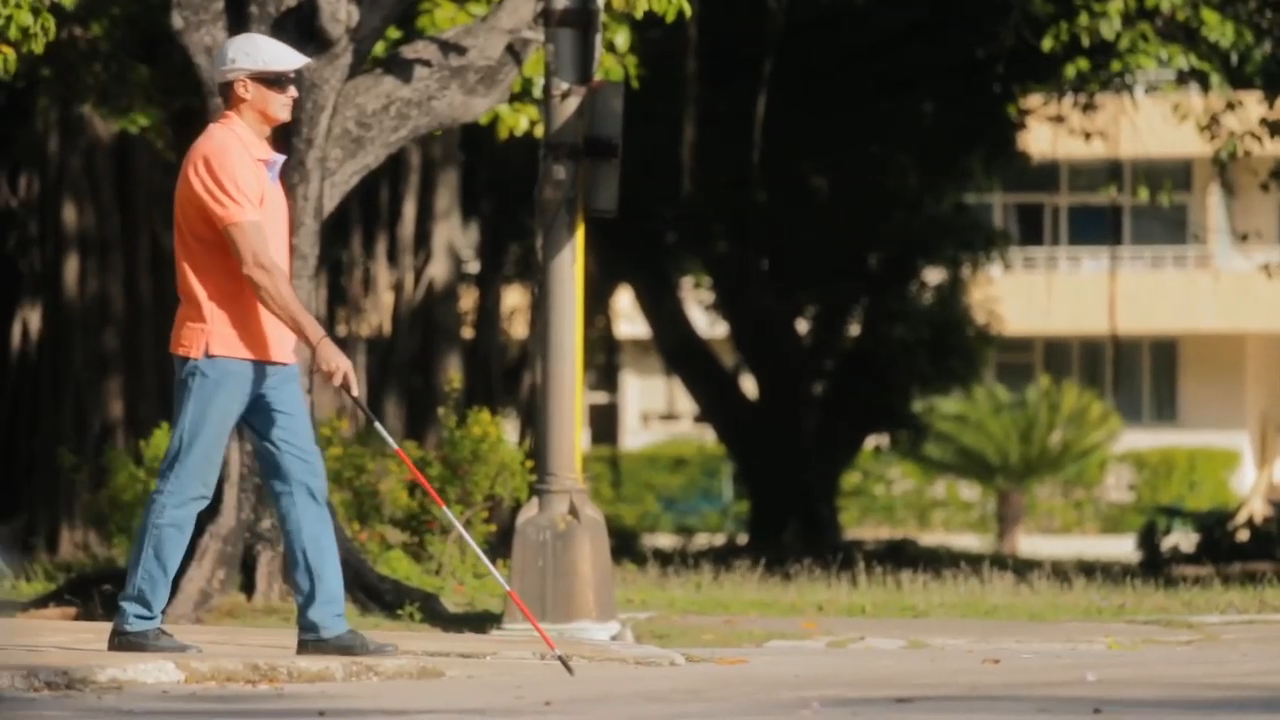 Мозговой имплантат Orion частично возвращает зрение слепому человеку смотреть онлайн