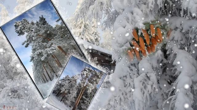 Здравствуй ! Зимушка ! \ Hello! Zimushka! смотреть онлайн