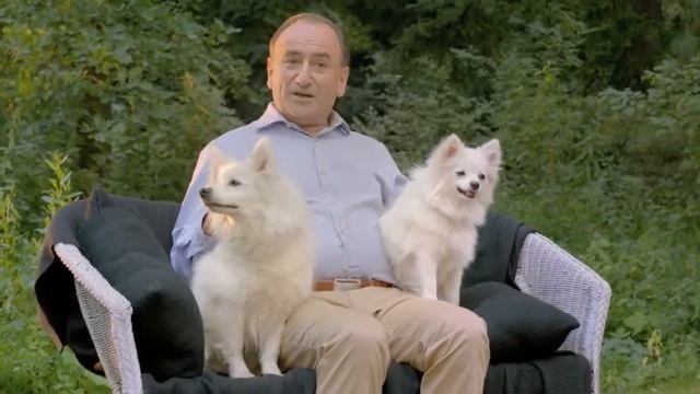 Собаки карликовых пород -- рекомендации Purina смотреть онлайн