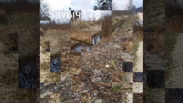 Дачная фото прогулка. Колорит шести соток смотреть онлайн