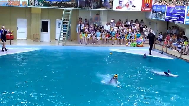 Шоу дельфинов, Геленджик июль 2017г.(1ч.) смотреть онлайн
