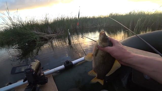 ловля карася с лодки на поплавок в камышах Рыбалка с ночёвкой смотреть онлайн
