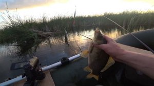 ловля карася с лодки на поплавок в камышах Рыбалка с ночёвкой