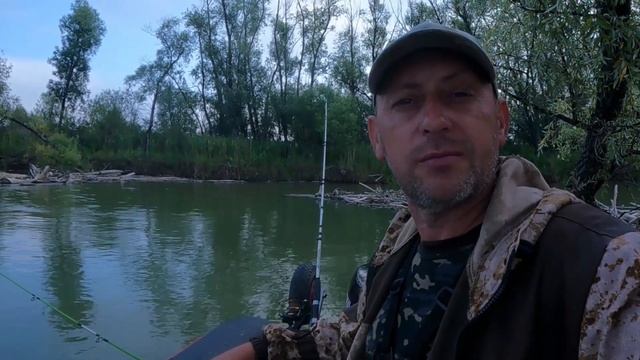 Забросил удочку в коряги, а там САЗАН/ Рыбалка на сазана смотреть онлайн