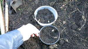 15 полезных советов для сада и огорода!