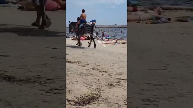 Раскрашенный конь в Скадовске