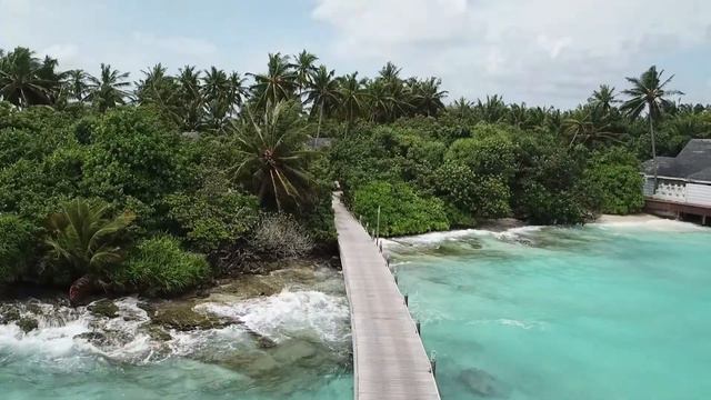 Maldives Relaxing Beaches | Retreat Destination | Gentle Soft Music Sounds for Rest Relax Yoga смотреть онлайн