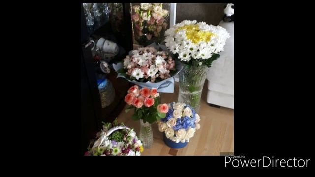 Отзыв о французской мускусной утке тяжёлой линии. смотреть онлайн