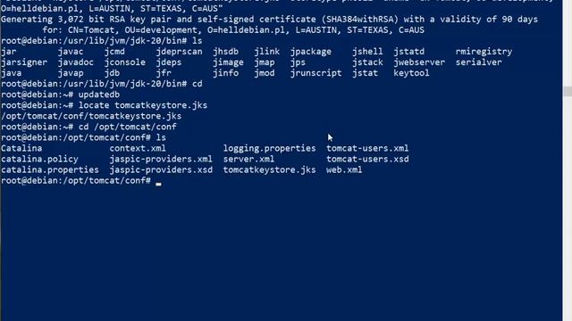 Install Apache Tomcat 10 on Debian 11.6 + SSL + Securing Tomcat смотреть онлайн