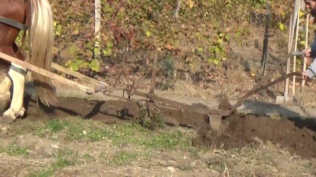 Оране на нива с малко перипетии смотреть онлайн