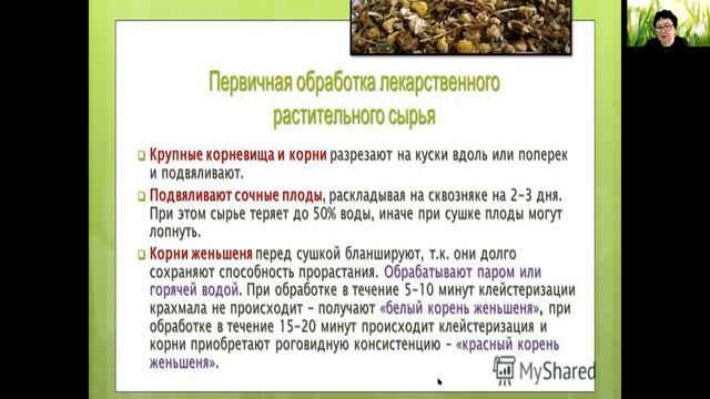 общие правила сбора и первичной обработки и сушки ЛРС из различных морфологических групп смотреть онлайн