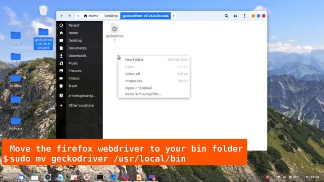 How to set up selenium(python) and Firefox Webdriver on Ubuntu 18.04 смотреть онлайн