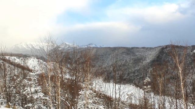 Холмск Волкова Шевченко смотреть онлайн