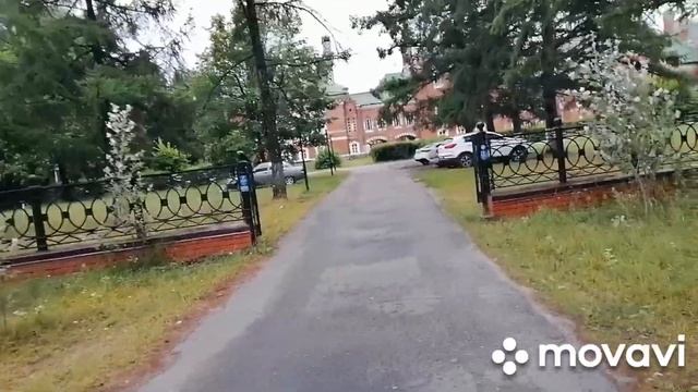 Посмотрите до Конца.Сколько Меня Предупреждает Жизнь, Встаю на Грабли Снова и Снова.Видео о Разном?